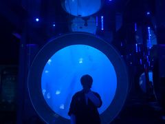 -成都浩海立方海洋公园