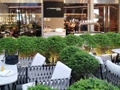 -君悦酒店·La Terrazza意合園·意式风味