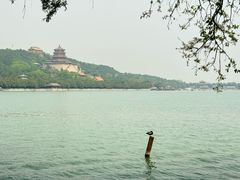 -颐和园
