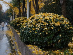 -陕西师范大学(雁塔校区)