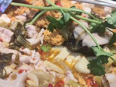 -聚味罗记大排檔·烧烤·鲜鱼杂·甲鱼煲(科学馆店)