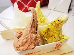 -野人先生现做冰淇淋(北京环宇荟店)
