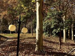 -河南省黄河迎宾馆