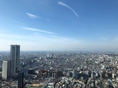 -东京都厅舍