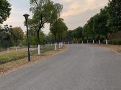 -南湖湿地公园
