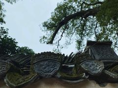 -新安江山水画廊风景区