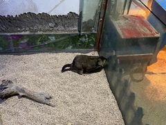 -常州海昌海洋探索馆
