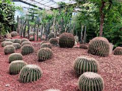 -呀路古热带植物园