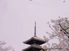 -东湖磨山景区