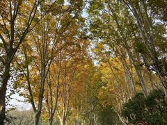 -河南省黄河迎宾馆
