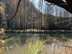 -百里山水画廊乌龙峡谷