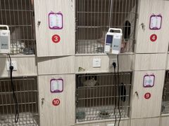 -四月宠物医院·猫专科·心脏专科·内科(转塘店)