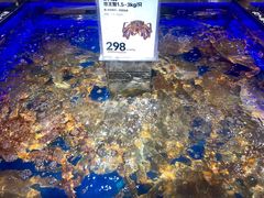 -盒马鲜生(枣园路店)
