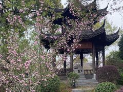-梁鸿国家湿地公园
