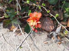 -梁鸿国家湿地公园