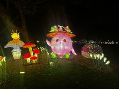 -琅岐红光湖公园