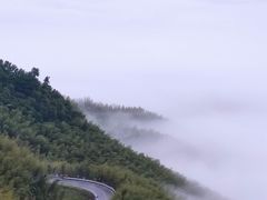 -四明山国家森林公园