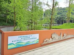 -银湖山郊野公园-相思林