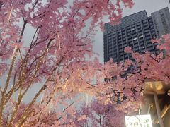 -首开·龙湖成都西宸天街