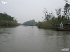 -溱湖国家湿地公园