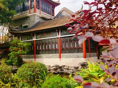 -顺峰山公园