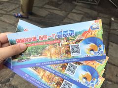 -虎英水上乐园