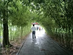-白洋淀景区