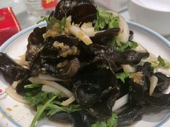 -陶然饺子城(奥体中路店)