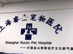 -睿金宠物医院·CT·肿瘤·骨外科