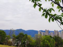 -牛岗山公园