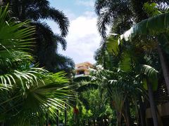 -三亚湾海居铂尔曼度假酒店