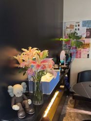 点击看大图 -玛莲朵·海菲秀冰珀科