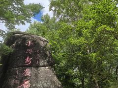-汤旺河林海奇石景区
