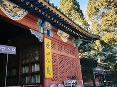 -香山公园