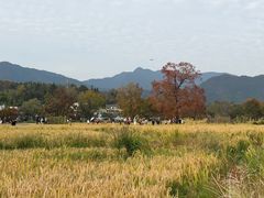 -塔川景区