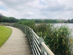-美兰湖景区