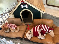 -上海崇明金茂凯悦酒店