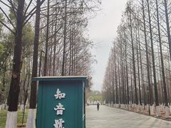 -汉口江滩-五福广场