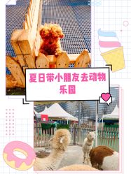 -萌宠亲子动物乐园(槐房万达店)