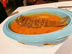 红烧黄河鲤鱼-阿五黄河大鲤鱼(海尚店)