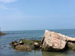 -海驴岛(荣成市)