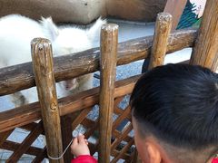 -杭州开元森泊度假乐园