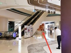 -代数学家algebraist(苏州中心店)