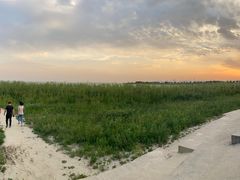 -合肥滨湖国家森林公园