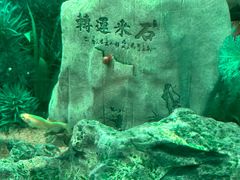 -海底捞大排档火锅(悦荟广场店)