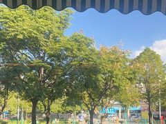 -金塔傣乡·云南民族特色菜·傣味手抓饭(金瓦路店)