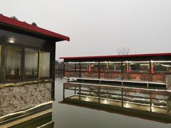 -老杨砂锅鱼庄