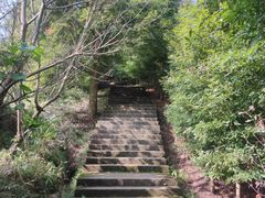 -凤栖山