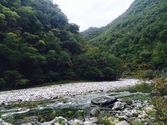 -黑河国家森林公园