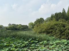 -云龙湖旅游景区